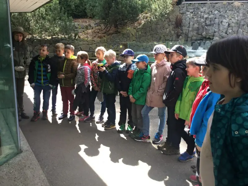 3.třída Barevný svět zvířat