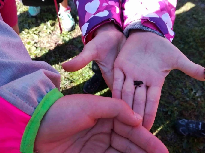 Adrenalinový výlet 3.A