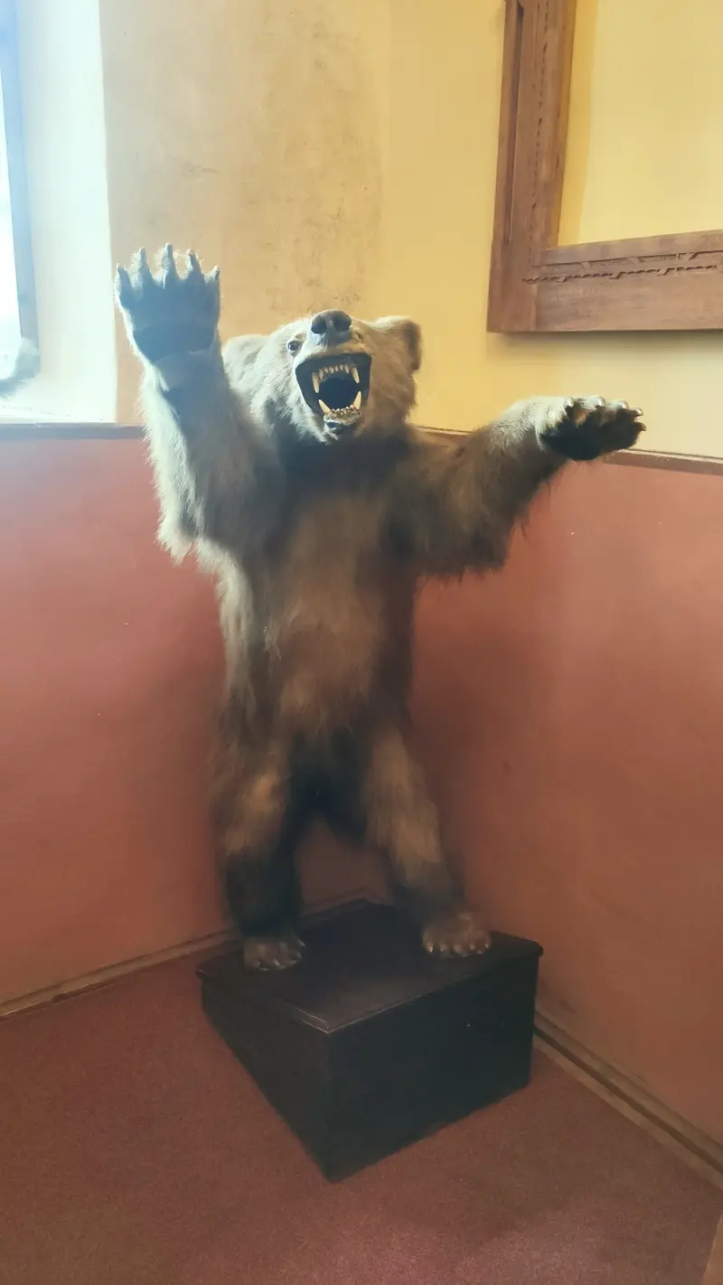 Toulky 5. třídy Českým rájem