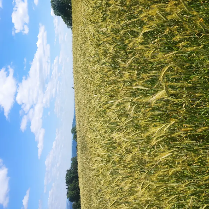 6. tř. výlet