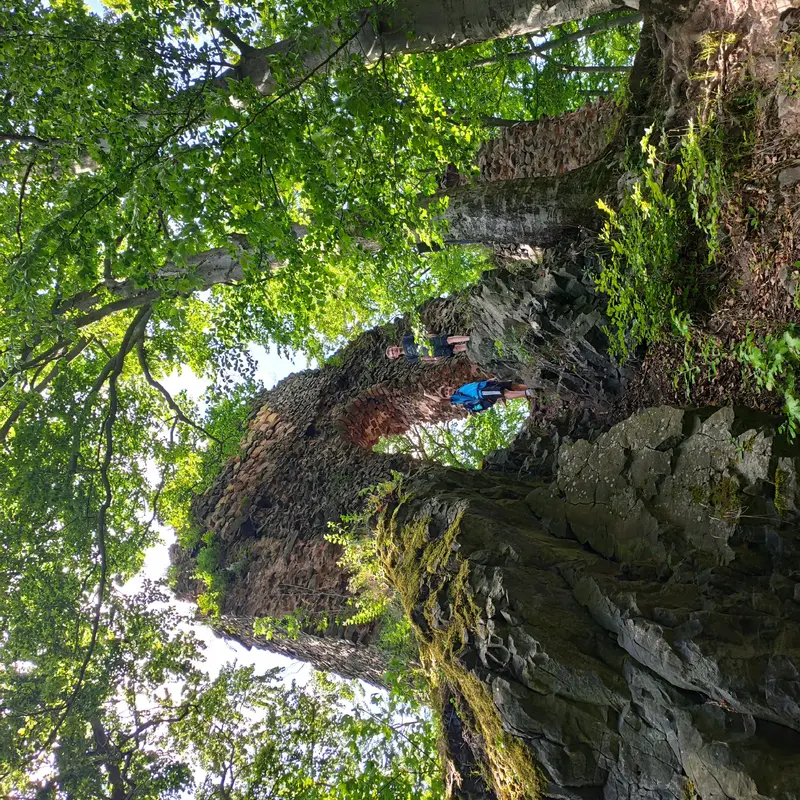 6. tř. výlet