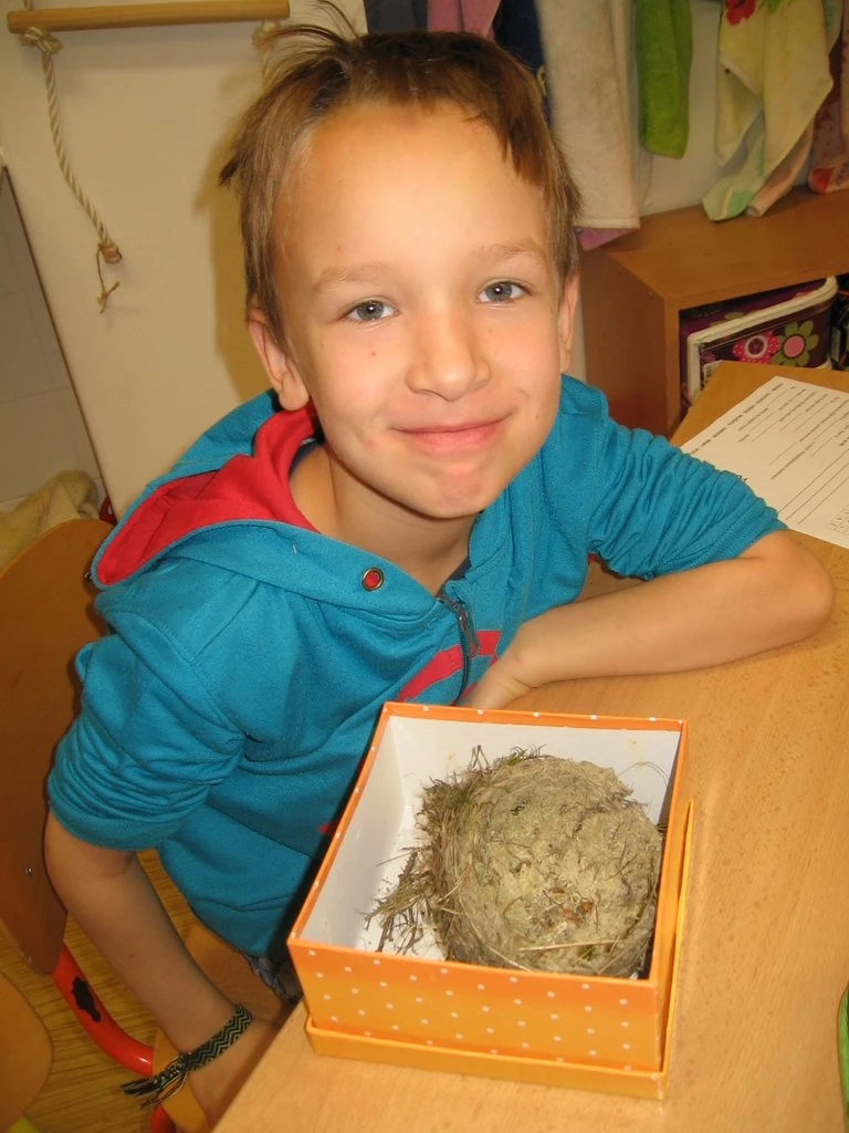 2. tř Život jedné vlaštovky