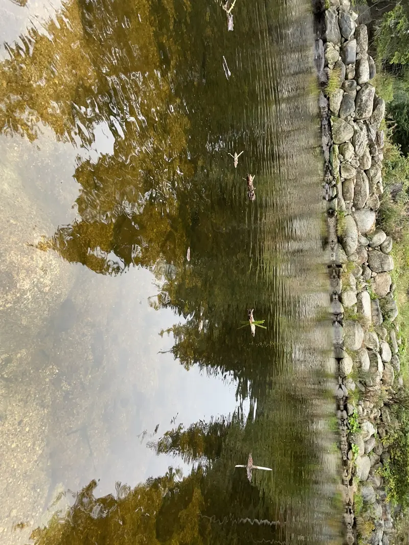 Stmelováky 5. třídy
