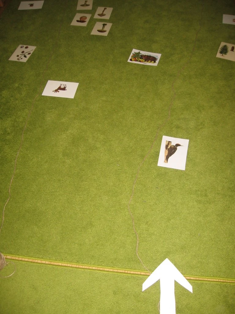 Já, předškolák - les