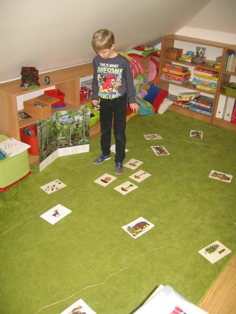 Já, předškolák - les