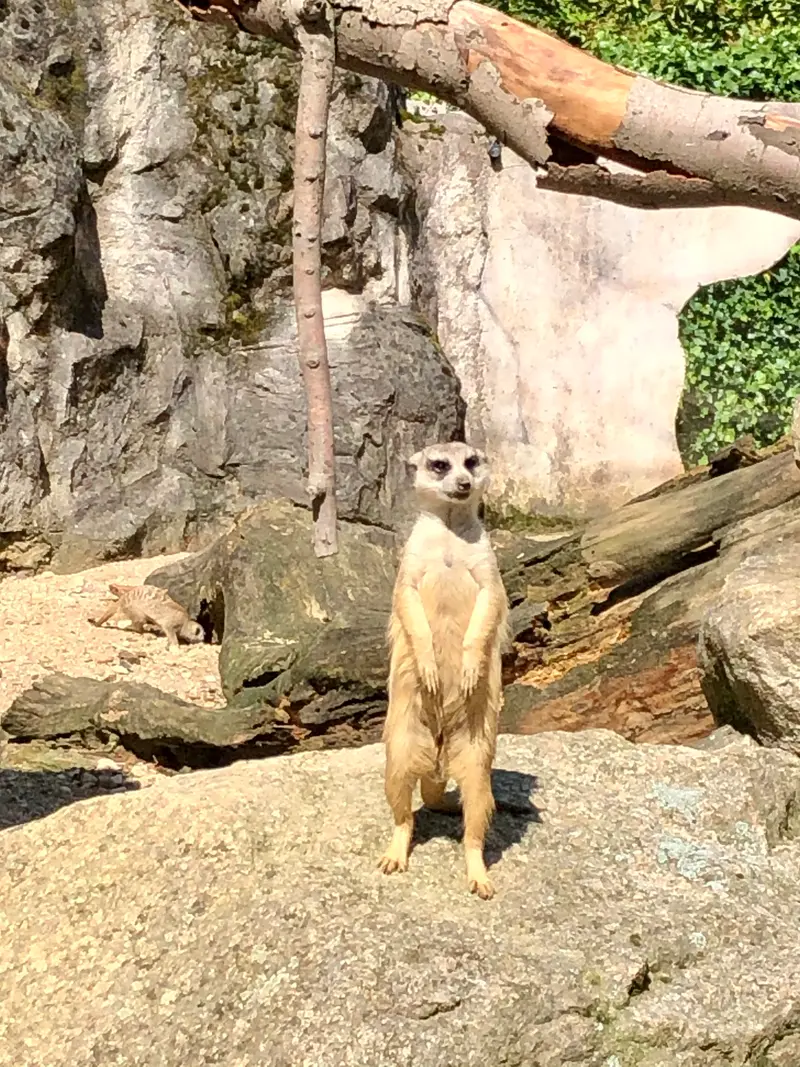 Prvňáci v ZOO