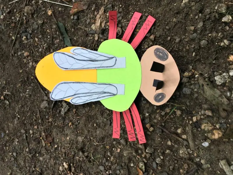 4. třída - Hmyz pod lupou