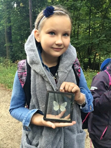 4. třída - Hmyz pod lupou