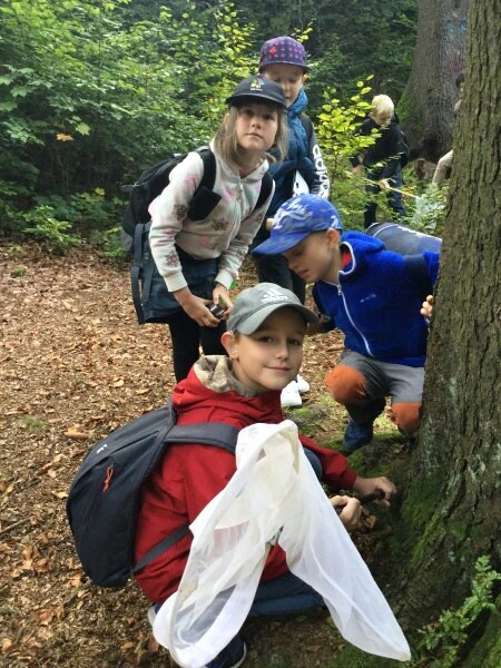 4. třída - Hmyz pod lupou