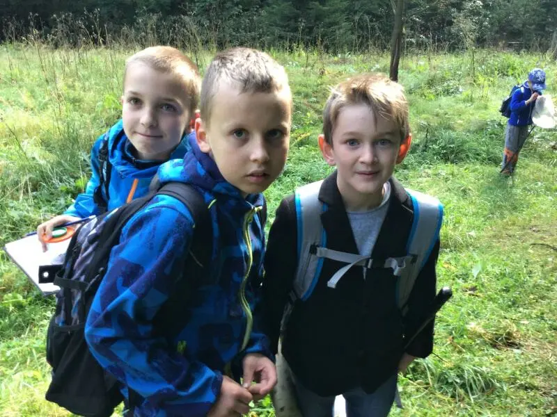 4. třída - Hmyz pod lupou