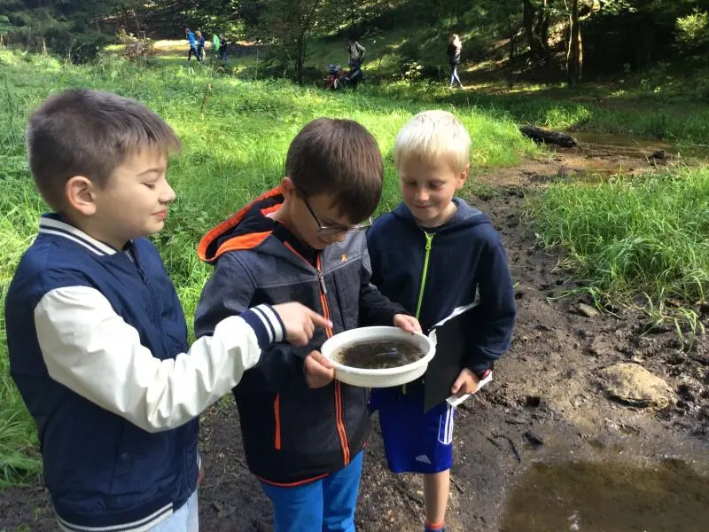 4. třída - Hmyz pod lupou