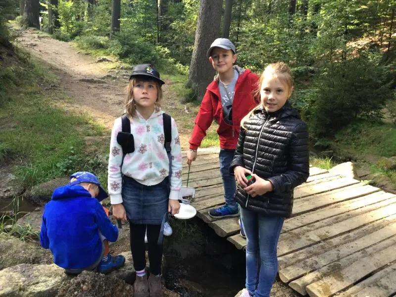 4. třída - Hmyz pod lupou
