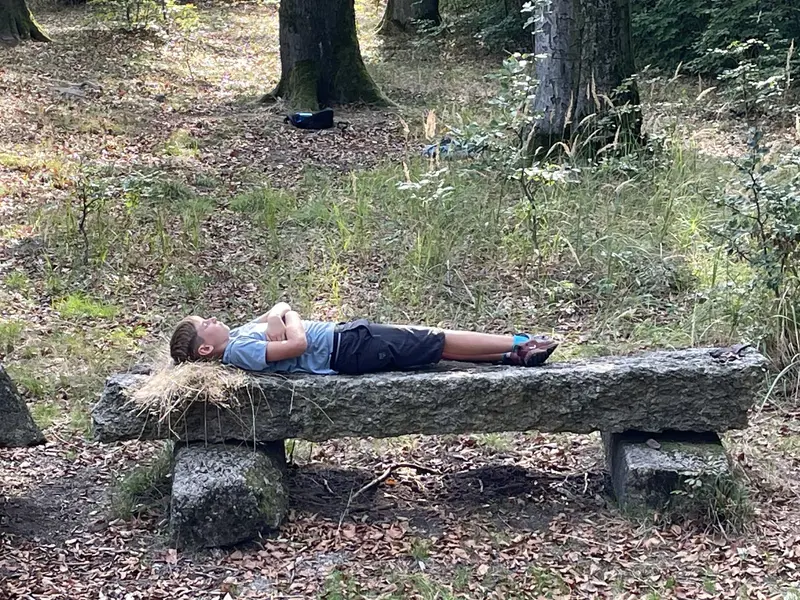 IMG 3480