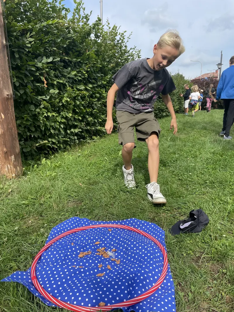 IMG 3530