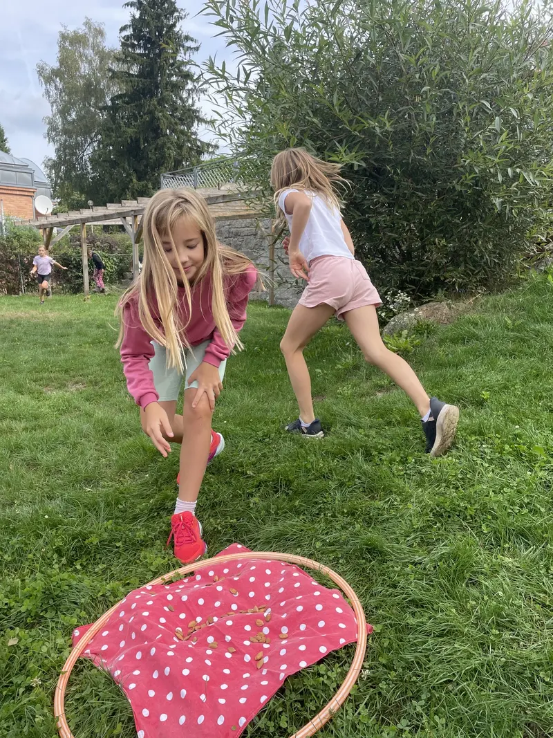 IMG 3534