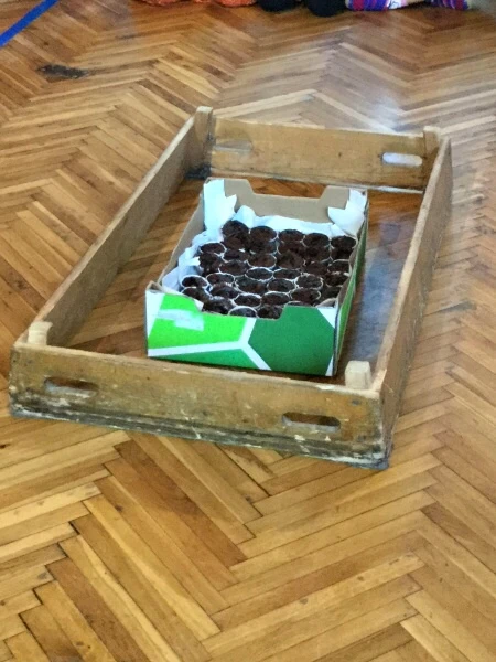 Harmonizační kurz se 4. třídou