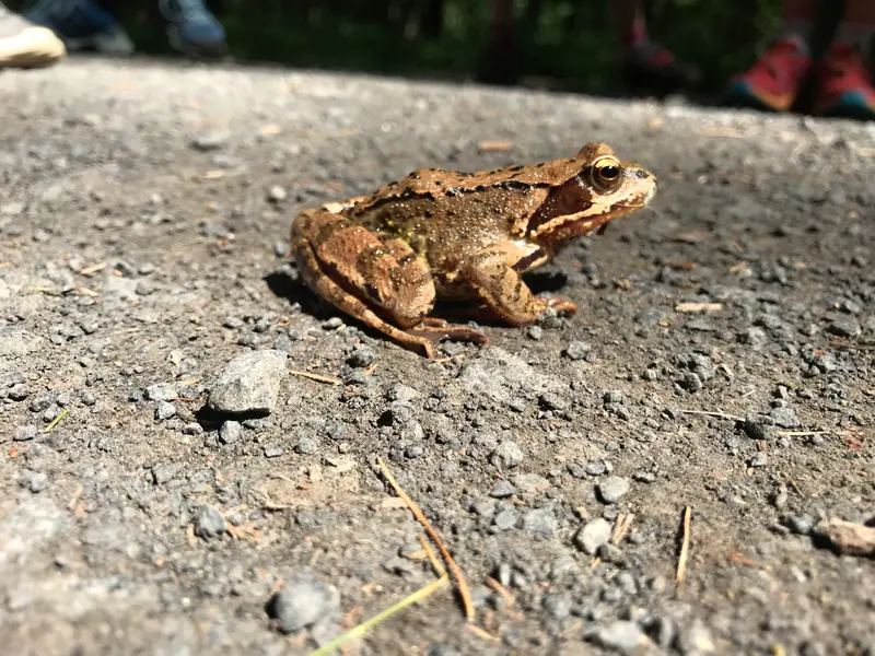 čtvrťáci ve skalákovně