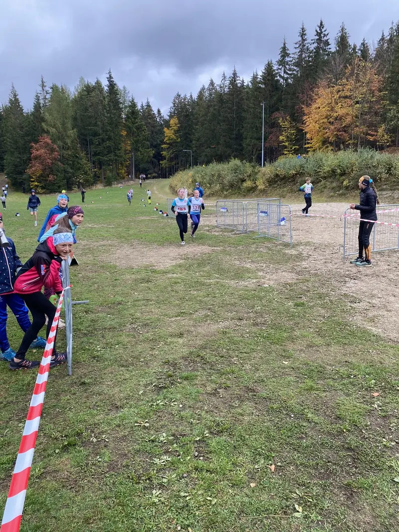 Krajské finále v přespolním běhu družstev