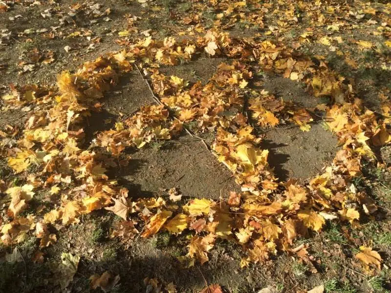 3. tř. LAND ART s patrony