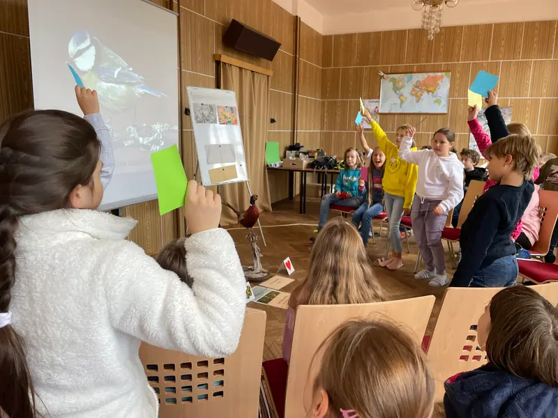4.třída a barevný svět zvířat