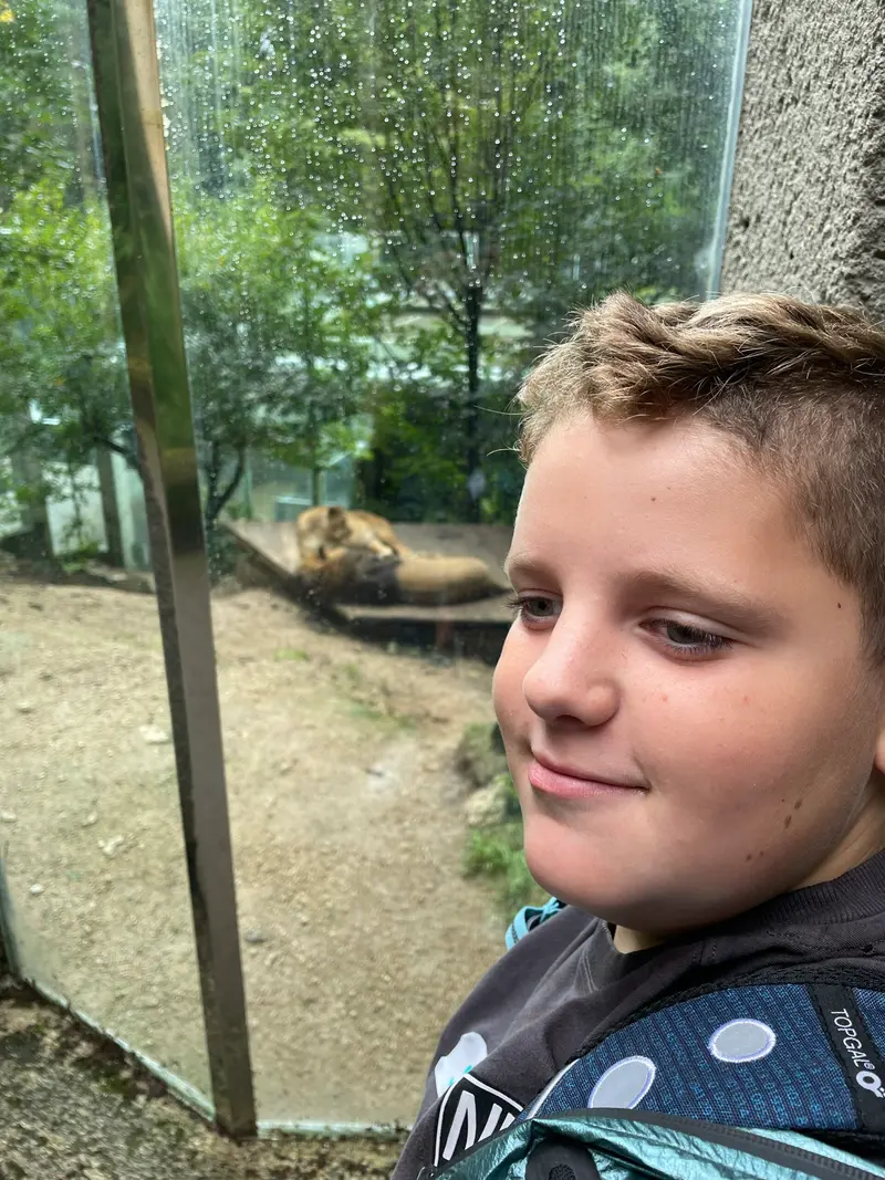 4.třída a barevný svět zvířat