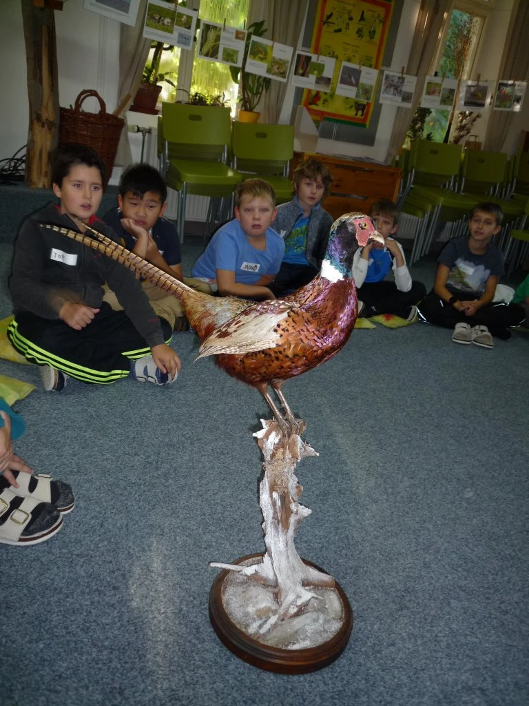 Barevný svět zvířat DIVIZNA 4.tř
