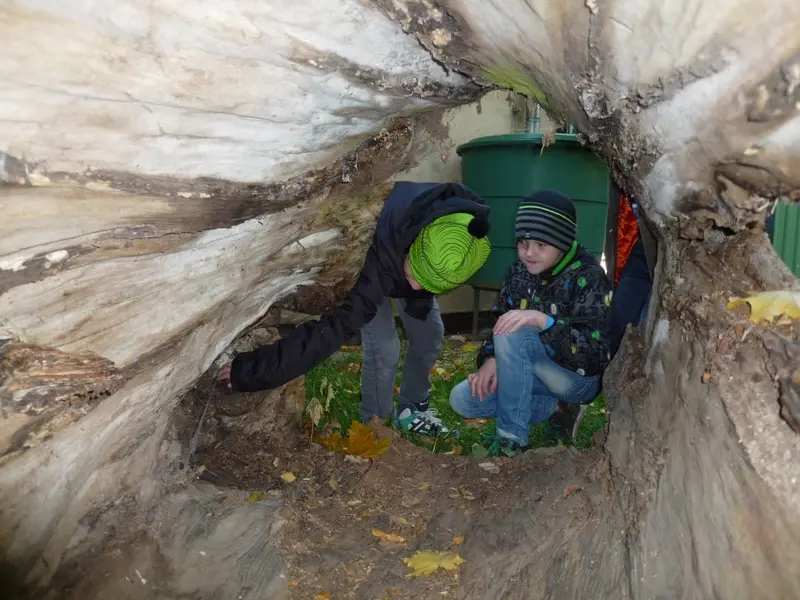 Barevný svět zvířat DIVIZNA 4.tř