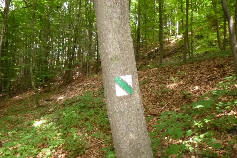 1. B ŠKOLNÍ VÝLET NA SYCHROV
