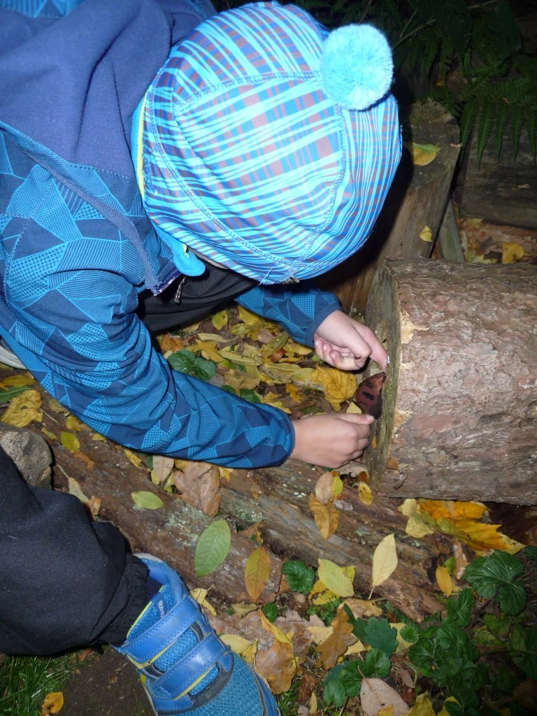 Barevný svět zvířat DIVIZNA 4.tř
