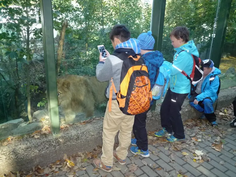 Barevný svět zvířat DIVIZNA 4.tř
