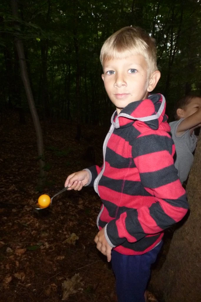 1.A a 1.B Lesní bloudění s patrony