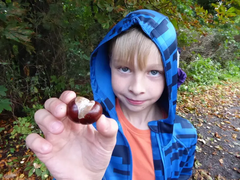 Harmonizační kurz 3. tř. - Zpátky do pohádky