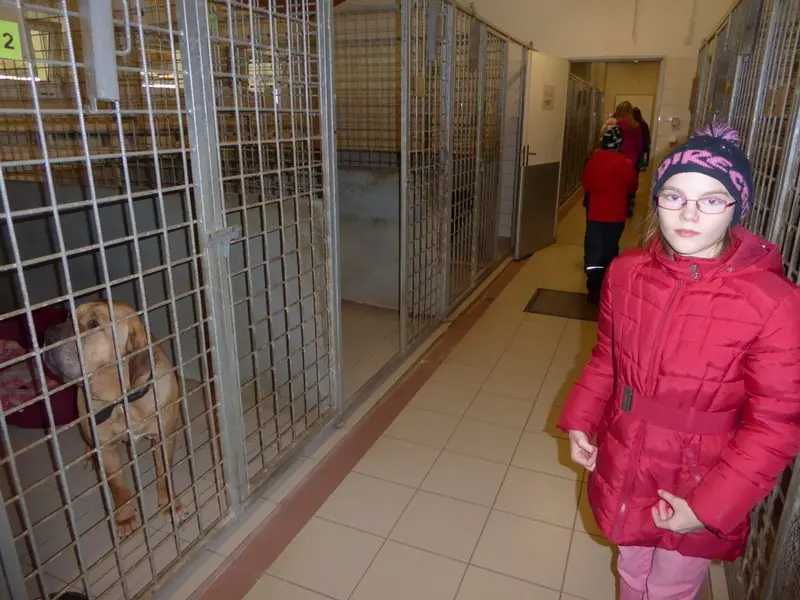 3. tř. S patrony za pejsky v útulku