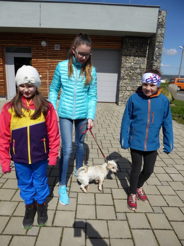 3. tř. S patrony za pejsky v útulku