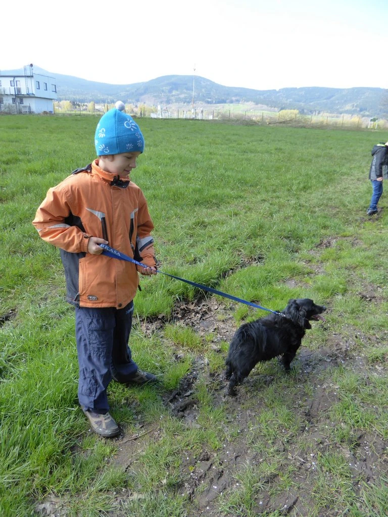 3. tř. S patrony za pejsky v útulku