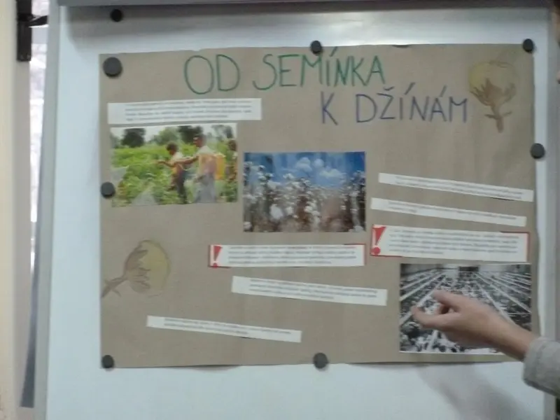 8. tř. v divizně