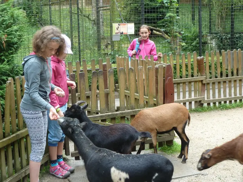 Loučení s 5. třídou v ZOO