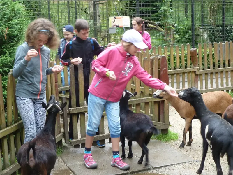 Loučení s 5. třídou v ZOO