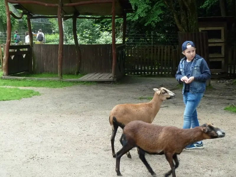 Loučení s 5. třídou v ZOO.