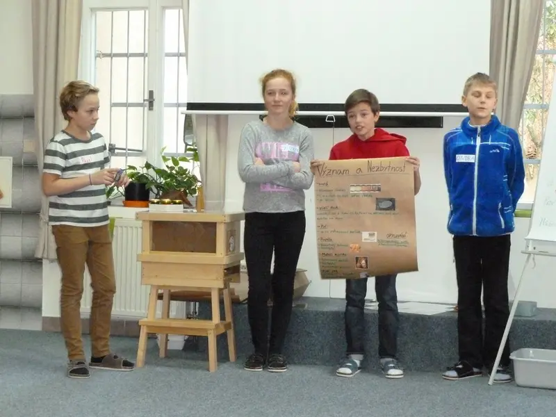 6. tř. Divizna