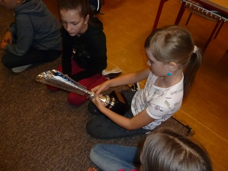 Vicemistři