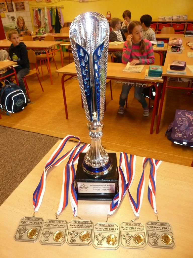 Vicemistři