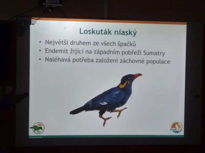 Učíme se pomáhat -  beseda ŠD s ředitelem ZOO