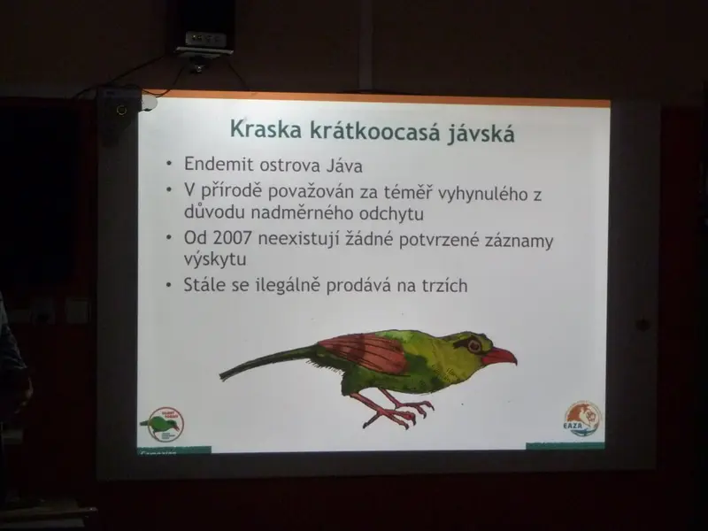 Učíme se pomáhat -  beseda ŠD s ředitelem ZOO