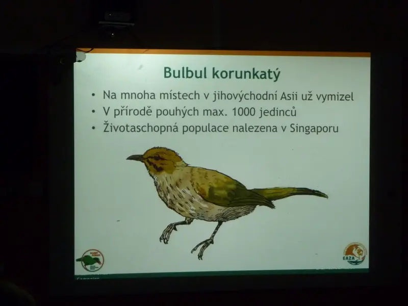 Učíme se pomáhat -  beseda ŠD s ředitelem ZOO