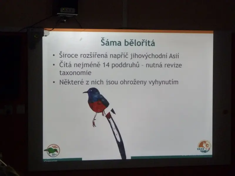 Učíme se pomáhat -  beseda ŠD s ředitelem ZOO