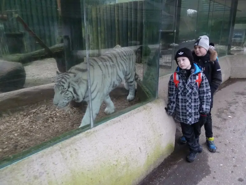 Vysvědčení v Zoo 4. tř.