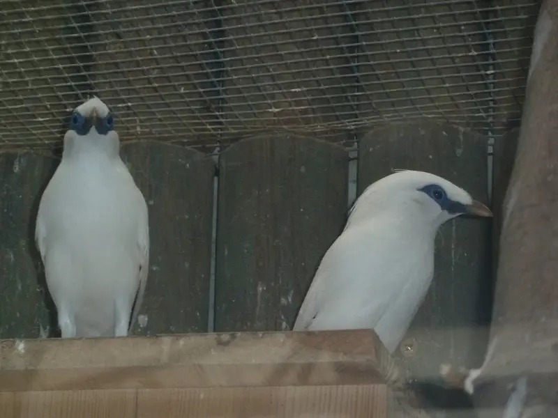 Vysvědčení v Zoo 4. tř.