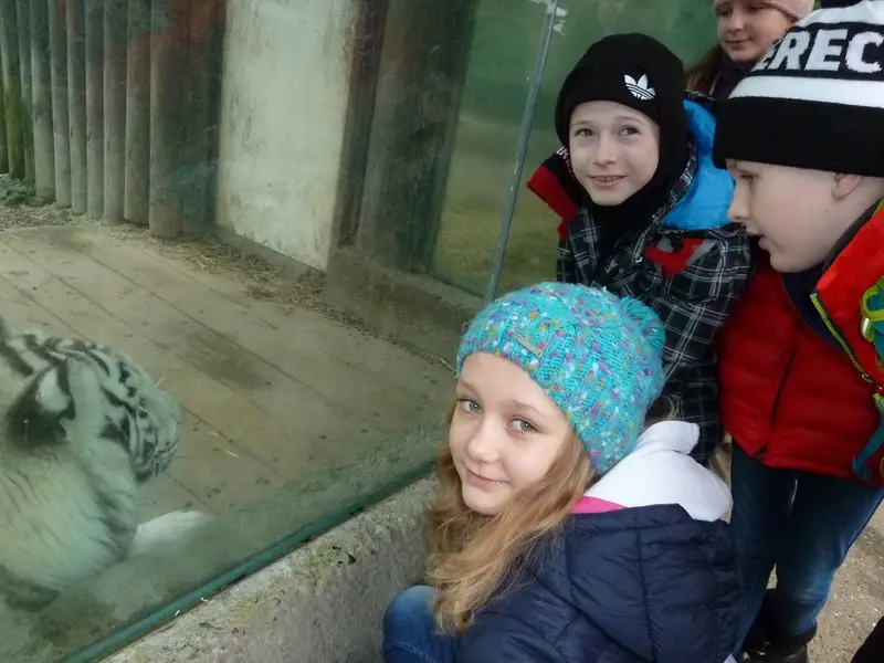 Vysvědčení v Zoo 4. tř.
