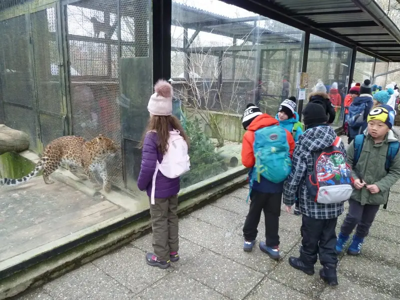 Vysvědčení v Zoo 4. tř.